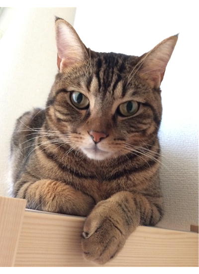 オーナー近影